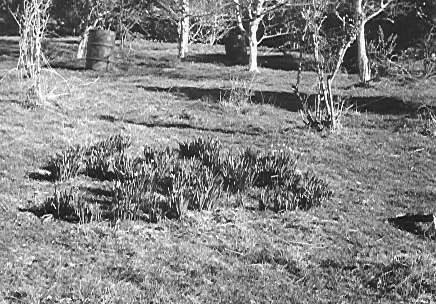 Former site of Nga Tawa School for Girls, Shannon