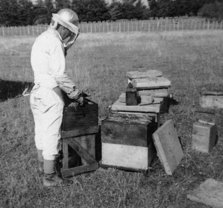 Russell Field of Field's Apiaries - Resource cover image
