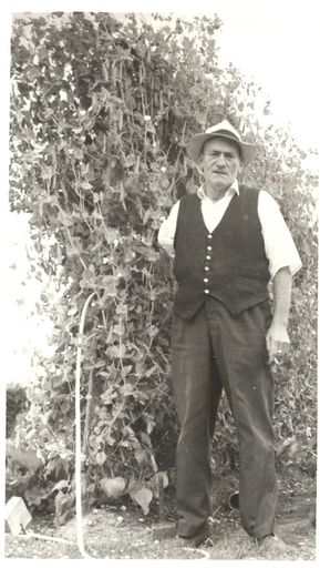 Mr H. Donnelly & his 15' pea vines, 1968 - Resource cover image