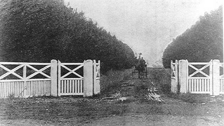 Main Gate, Weraroa Experimental Station