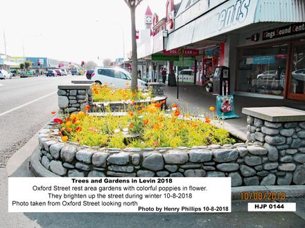 HJP 0144 Oxford Street rest area gardens with colorful poppies in flower. - Resource cover image