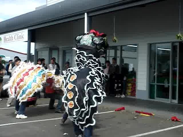 Lions in action - Resource cover image