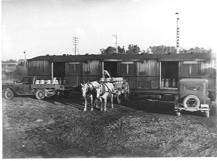 Loading milk cans into railway van, Manakau