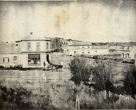 Avenue Road from Ihakara Gardens, 1878
