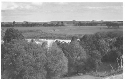 Source of Hokio Stream, behind weir, 1977