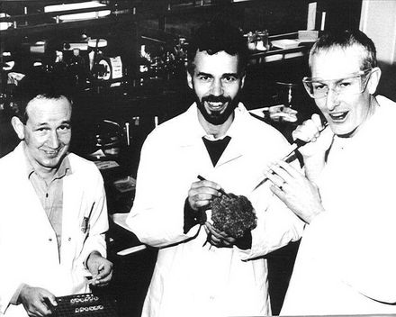 Hurst, Heyes & King, examining broccoli - Resource cover image