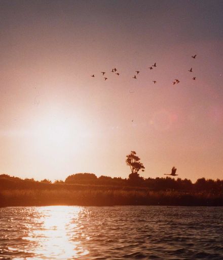 Ducks Flying Over Lake Horowhenua