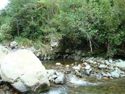 The Waikawa River at the end of Manakau North Road