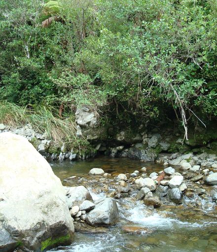 The Waikawa River at the end of Manakau North Road