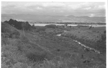 Lake Horowhenua & Hokio Stream, 1977
