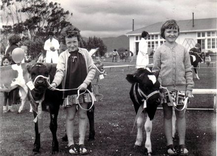 'Gore Girls' with calves, Agriculture Day, Shannon School, c.1979
