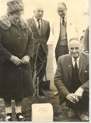 Tree planting, Levin Hospital & Training School, 1969