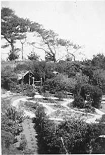 Seaview Gardens, Foxton