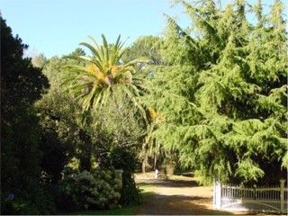 Moutoa Estate grounds