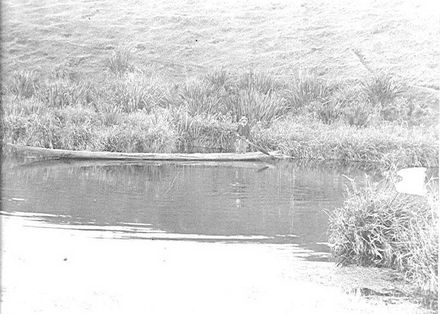 Hokio Stream, H.H. McDonald in Maori canoe