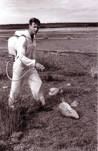 Spraying Spartina Grass, 1980's-90's