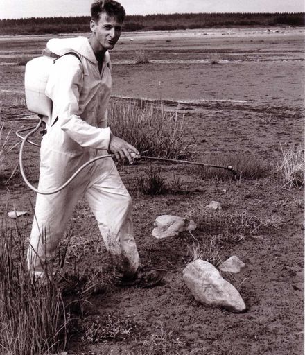 Spraying Spartina Grass, 1980's-90's