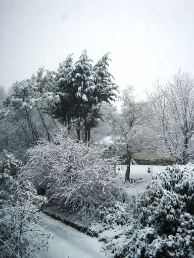 Coming home to snow on neighbours lawn and trees