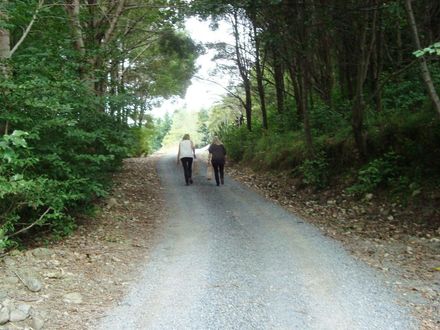 Walking up driveway at Garden 5