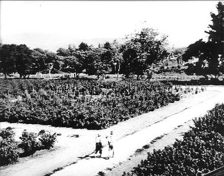 Vern Oborn & Joe Griffith, 1952