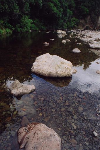 Horseshoe Bend Reserve, Tokomaru