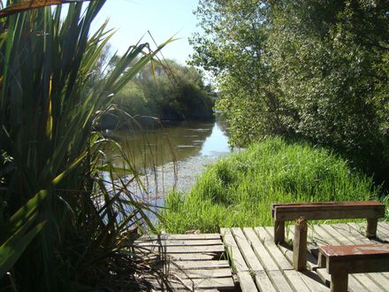 Foxton - Manawatu River at end of Te Awahou boardwalk 28 Feb 2010