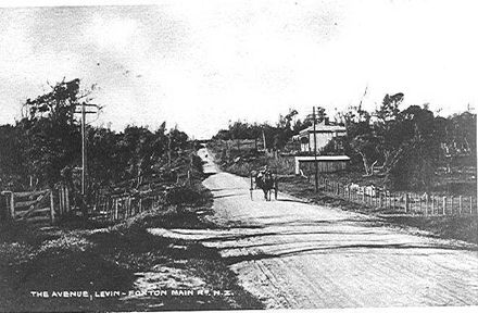 The Avenue, Levin, before 1910