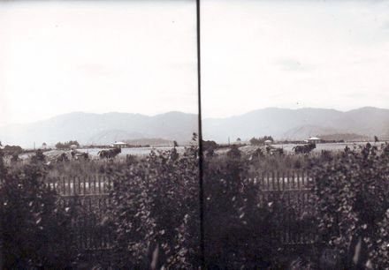 Shannon Recreation Ground (Domain), Mr Edward Law haymaking with horse team, 1903