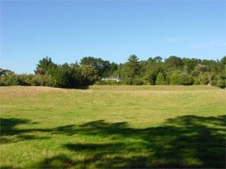 Moutoa Estate grounds