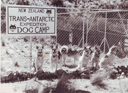 NZ Trans-Antarctic Expedition Dog Camp