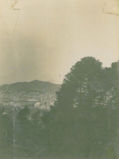 Looking Down from Fern Hill