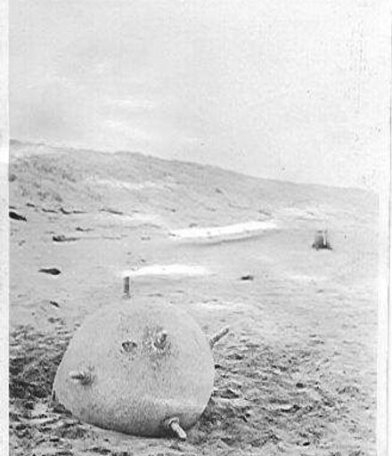Mine at Hokio Beach 1918
