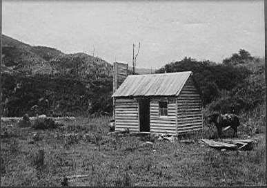 Old sawmill site, Makahika River