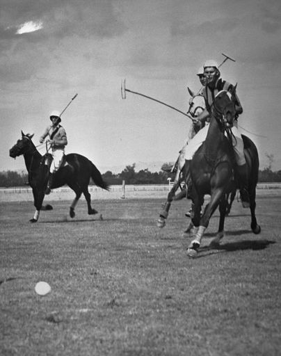 Polo Match at Johnstone Park