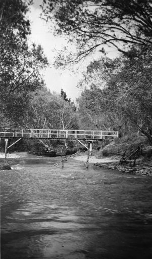 North Street Footbridge, c. 1961
