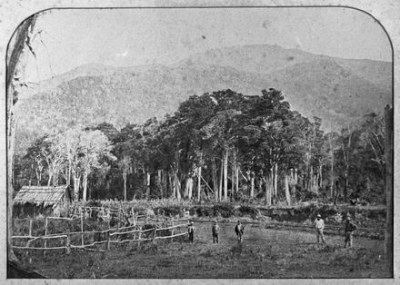 Halcombe