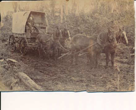 Horse Drawn Covered Wagon Horse Drawn Covered Wagon