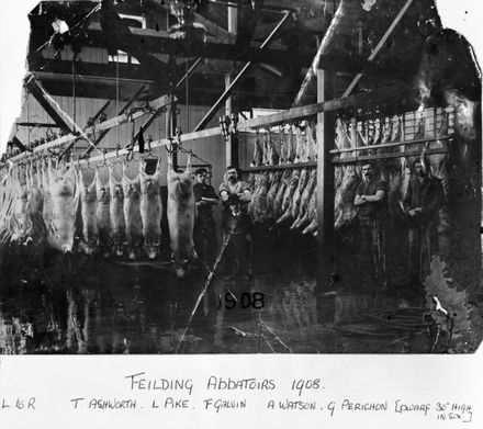 Feilding Abbatoirs, c. 1908