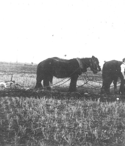 Ploughing, c. 1900