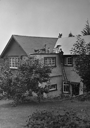 1942 earthquake damage