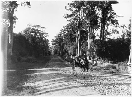 Kitchener Park Kitchener Park