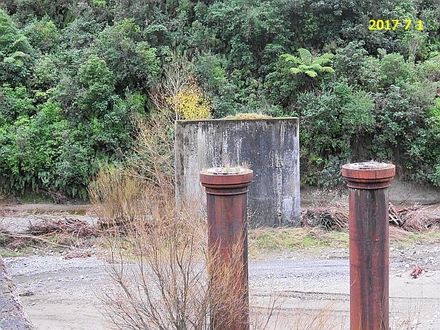 Old Apiti Bridge Piles