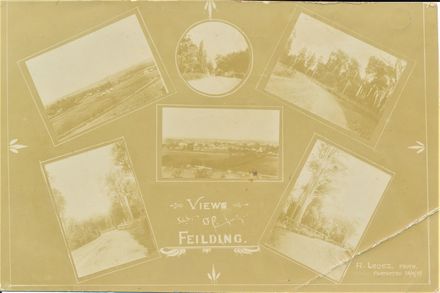 Views of Feilding