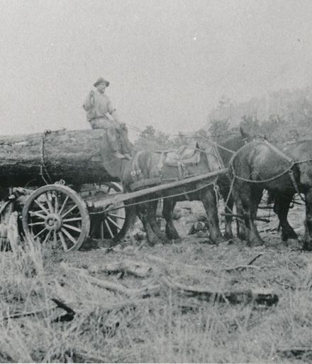 Wagon Team - Logging