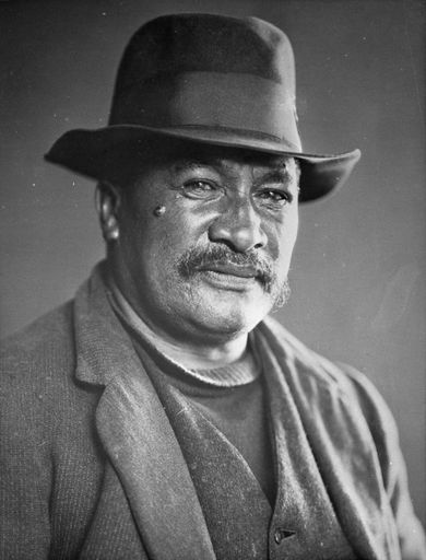 Toi Toi Potiri - Resource cover image