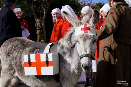 Anzac Day, Halcombe, c. 2019 - Resource cover image