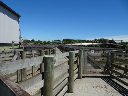 Page 5: Rongotea Saleyards