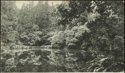 Page 2: Apiti Lake