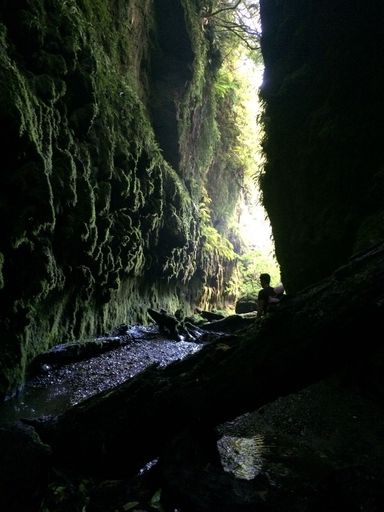 Limestone Creek Cave