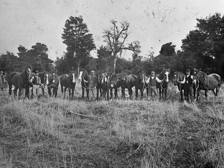 Hocken Bros Horse Sale, Grassmere